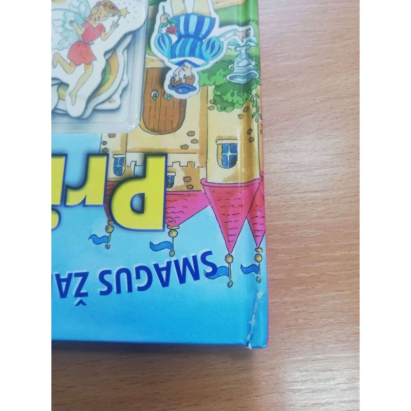 Princesė. Smagus žaidimas su magnetukais