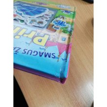 Princesė. Smagus žaidimas su magnetukais