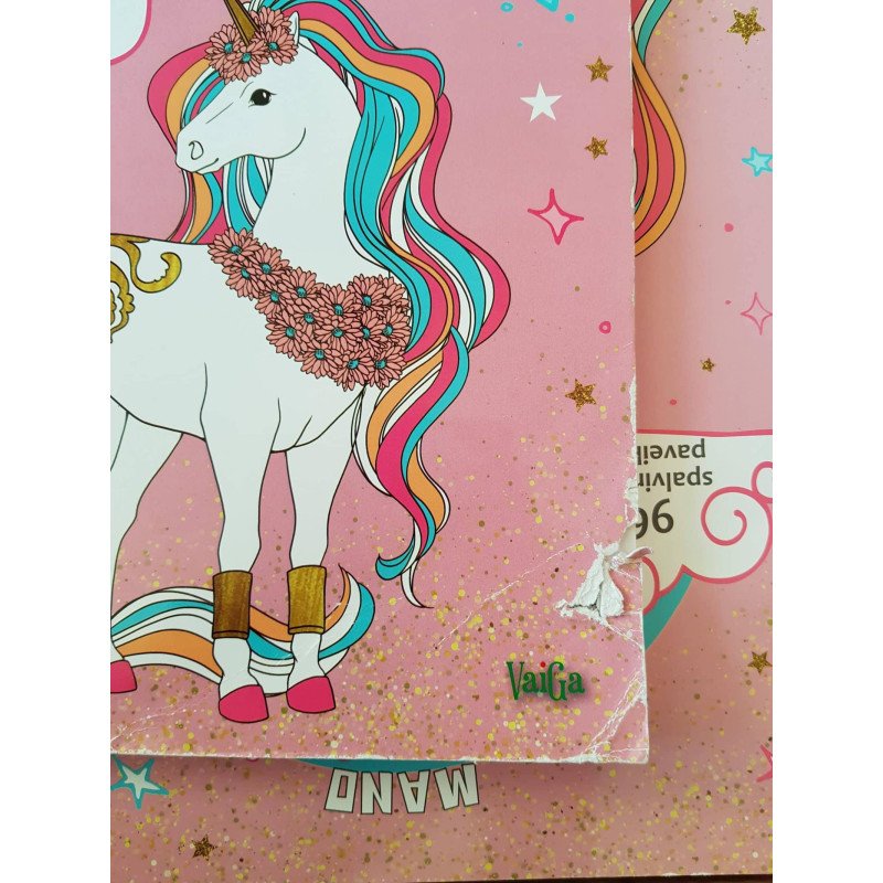 Mano vienaragių ir stebuklingų arkliukų spalvinimo knyga