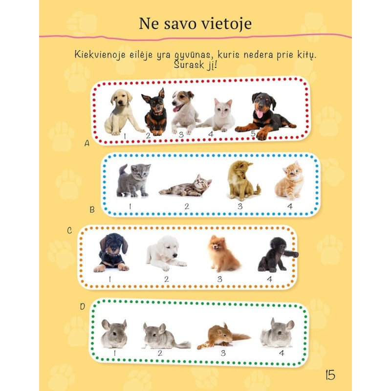 Spalvinimo ir užduočių knyga. Gyvūnų jaunikliai