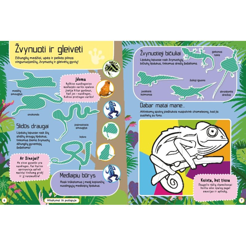 Džiunglių gyvūnai. Veiklos knyga