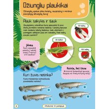 Džiunglių gyvūnai. Veiklos knyga