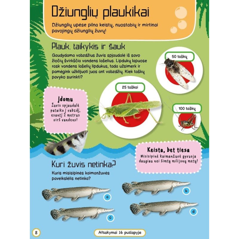 Džiunglių gyvūnai. Veiklos knyga