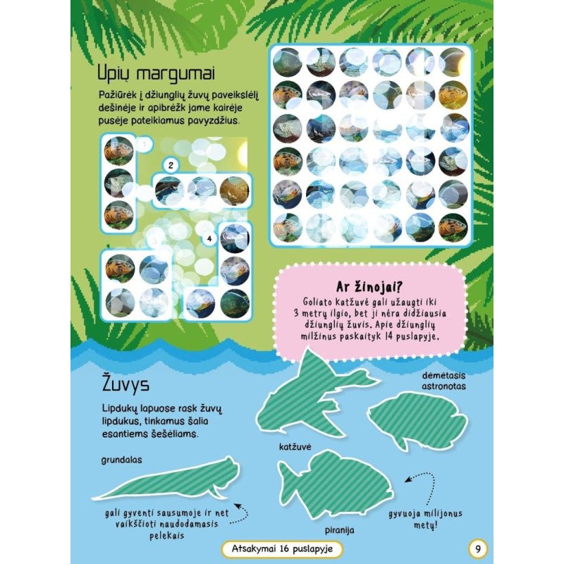 Džiunglių gyvūnai. Veiklos knyga