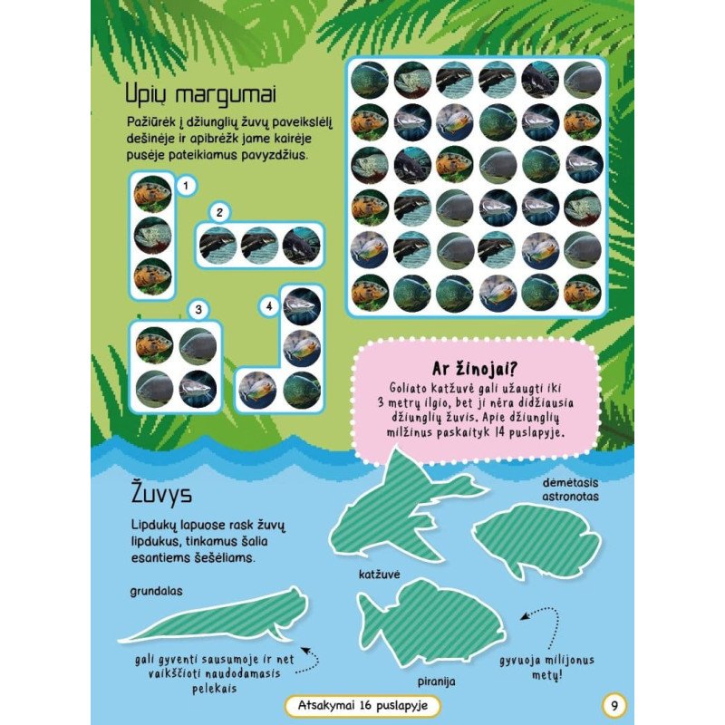 Džiunglių gyvūnai. Veiklos knyga