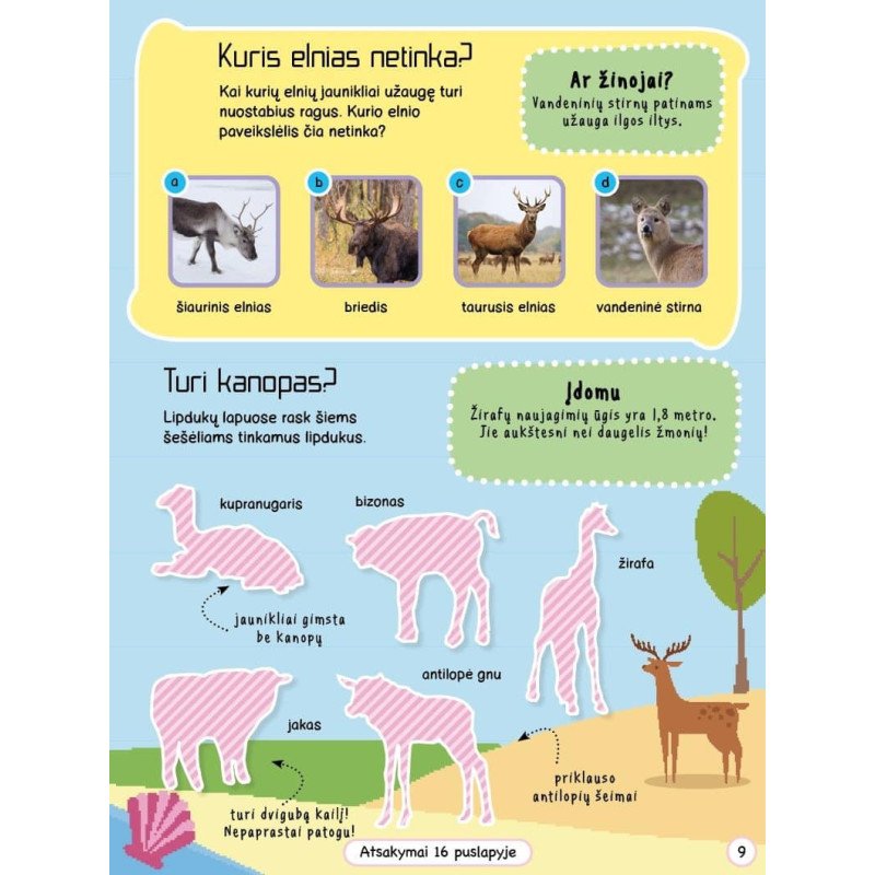 Gyvūnų mažyliai. Veiklos knyga