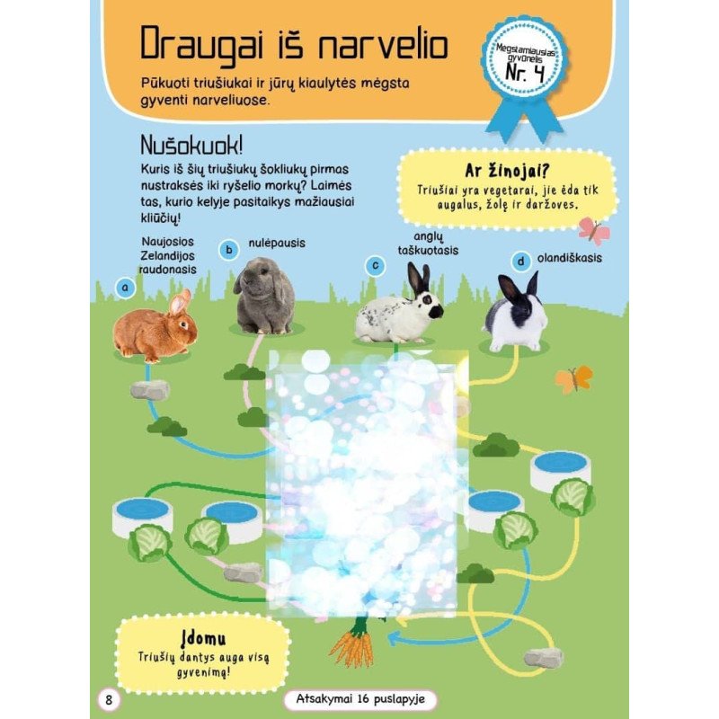 Augintiniai. Veiklos knyga