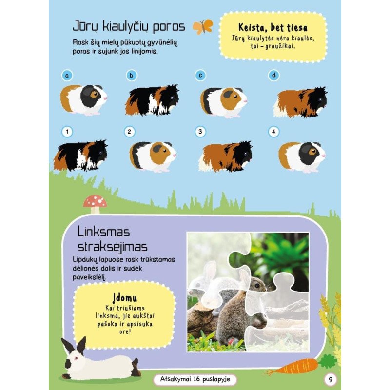 Augintiniai. Veiklos knyga