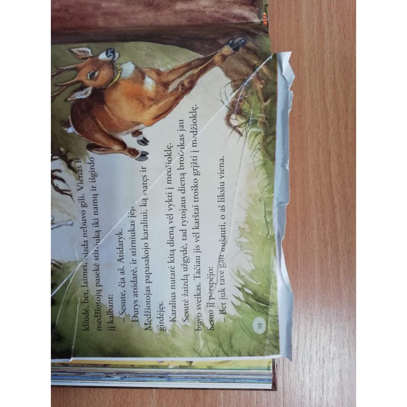 Gražiausios Brolių grimų pasakos