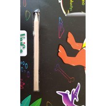 Dinozaurai. Kūrybinis raižymas