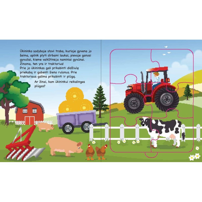 Transporto priemonės. Su 5 dėlionėmis