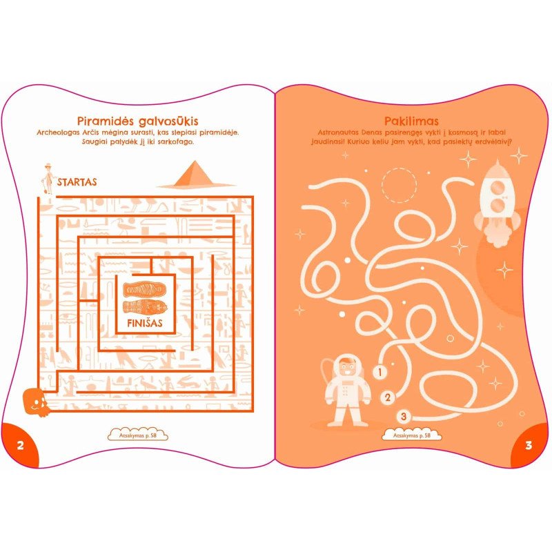 Nuostabieji labirintai