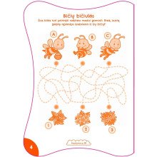 Nuostabieji labirintai