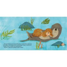 Po vandeniu su ūdra Kimi