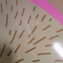 Spalvink ir lipink lipdukus.Kiškis