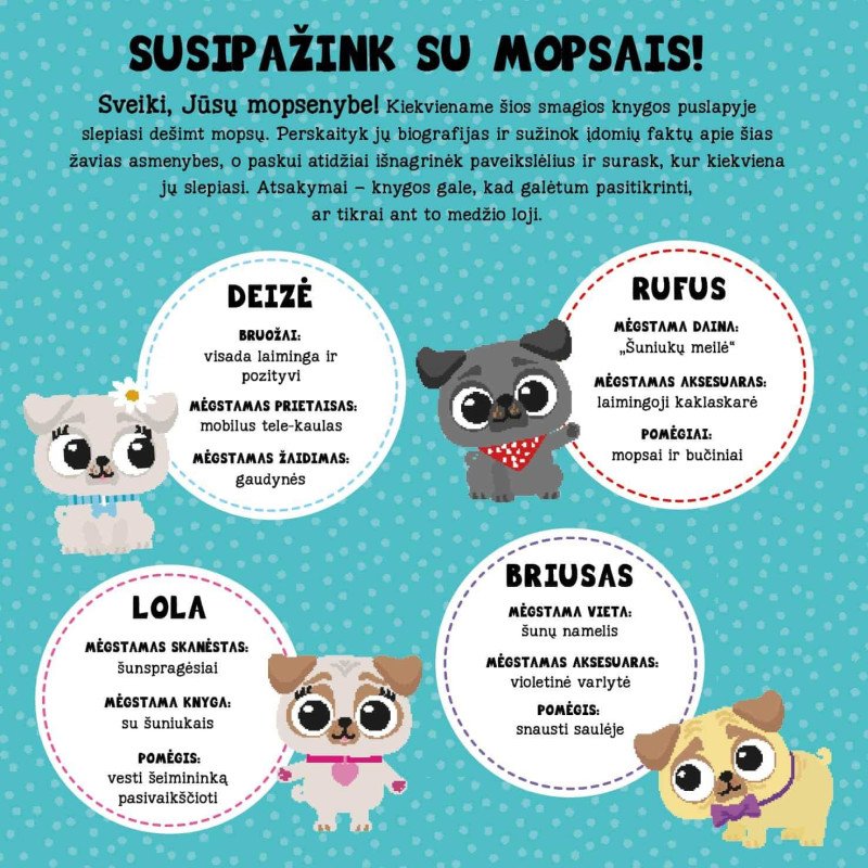 ŽIŪRĖK - MOPSAS! Ar surasi juos visus?
