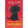 Ugniagesių išgelbėtas kačiukas