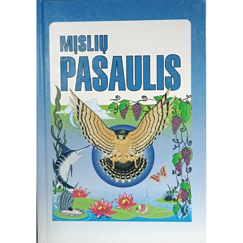 Mįslių pasaulis