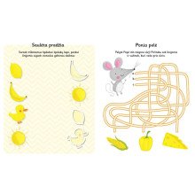 Spalvos. Lipdukų knyga