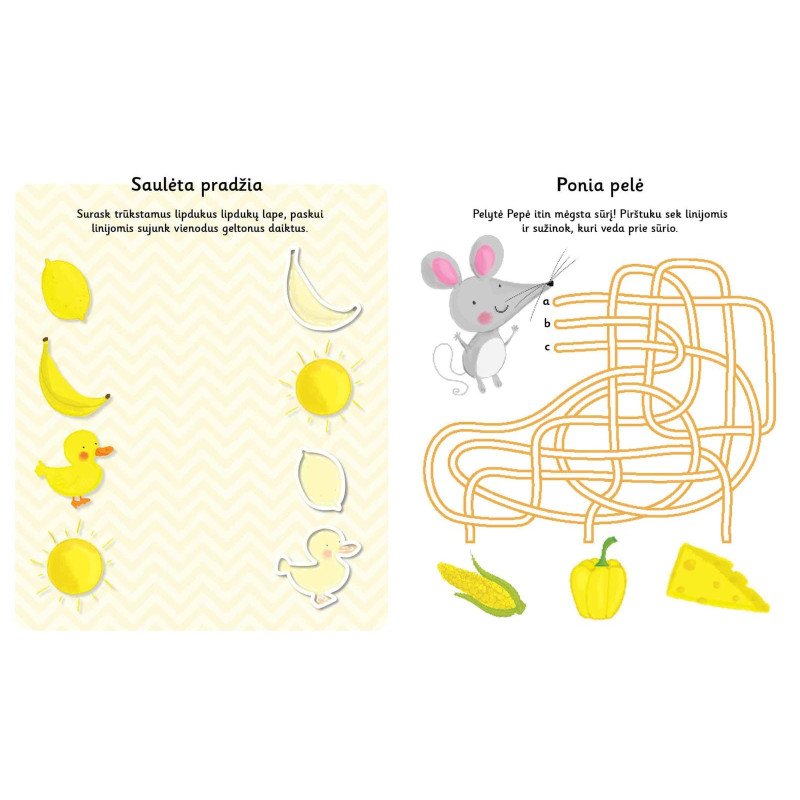 Spalvos. Lipdukų knyga