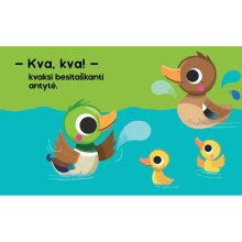 Ūkis. Liečiu ir jaučiu