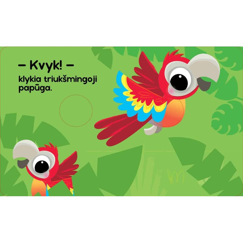 Džiunglės. Liečiu ir jaučiu