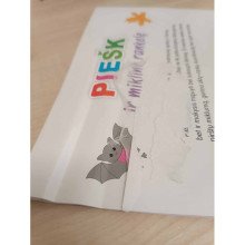 Džiunglės. Liečiu ir jaučiu