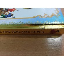Mano pasakų apie princeses knyga