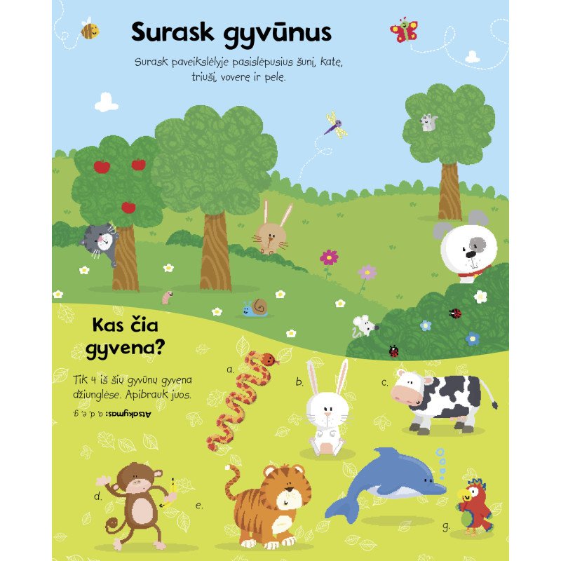 Mano pirmieji gyvūnai. Lipdukų ir veiklos knyga
