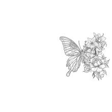 Watercolour Tattoos (Mind Spa Watercolours)