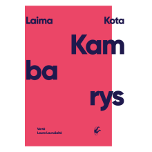 Kambarys