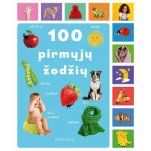 100 pirmųjų žodžių
