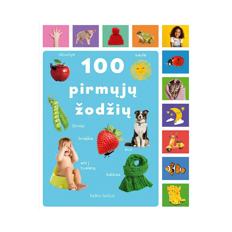 100 pirmųjų žodžių