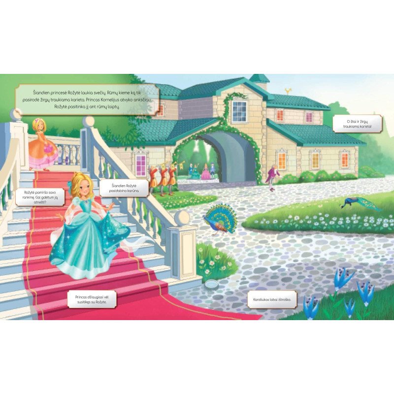 Stebuklingas princesių pasaulis. Knygelė su magnetukais (2023)