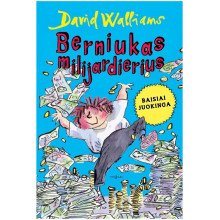 Berniukas Milijardierius
