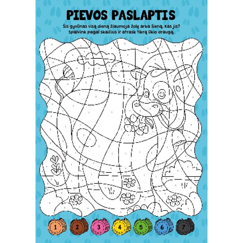 Spalvink pagal skaičius. Ūkis