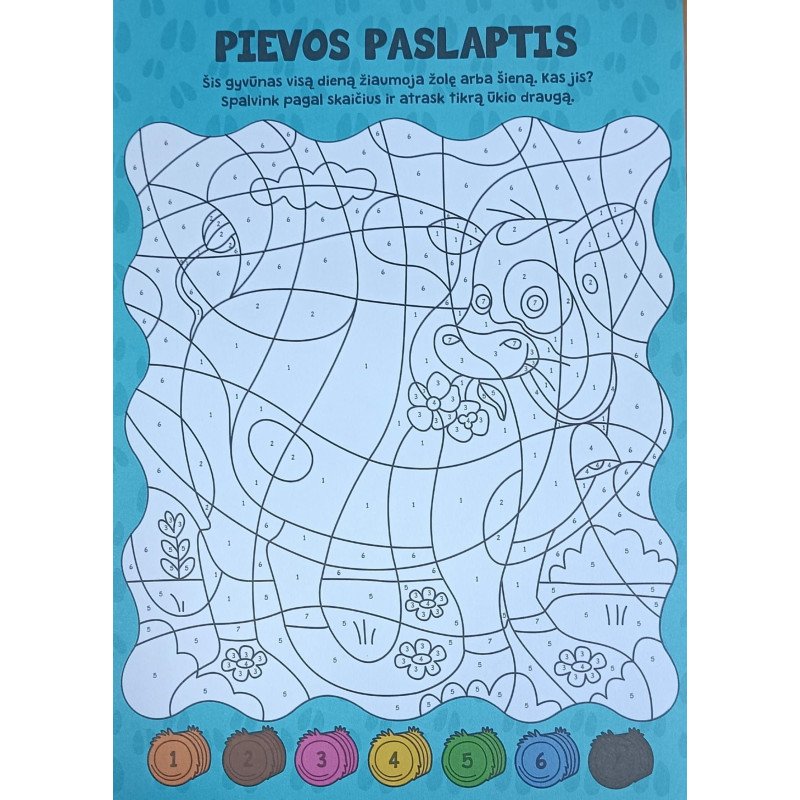 Spalvink pagal skaičius. Ūkis