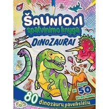 Susikurk princesės pilį