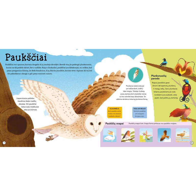 Nuostabūs gyvūnai. Atverk langelį