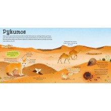 Nuostabūs gyvūnai. Atverk langelį