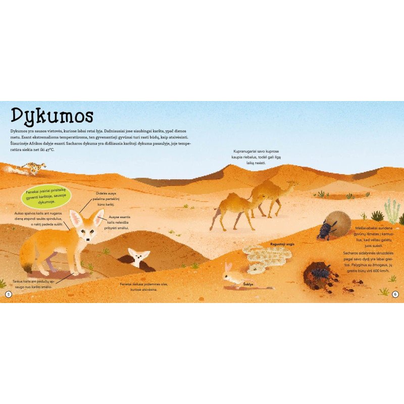 Nuostabūs gyvūnai. Atverk langelį