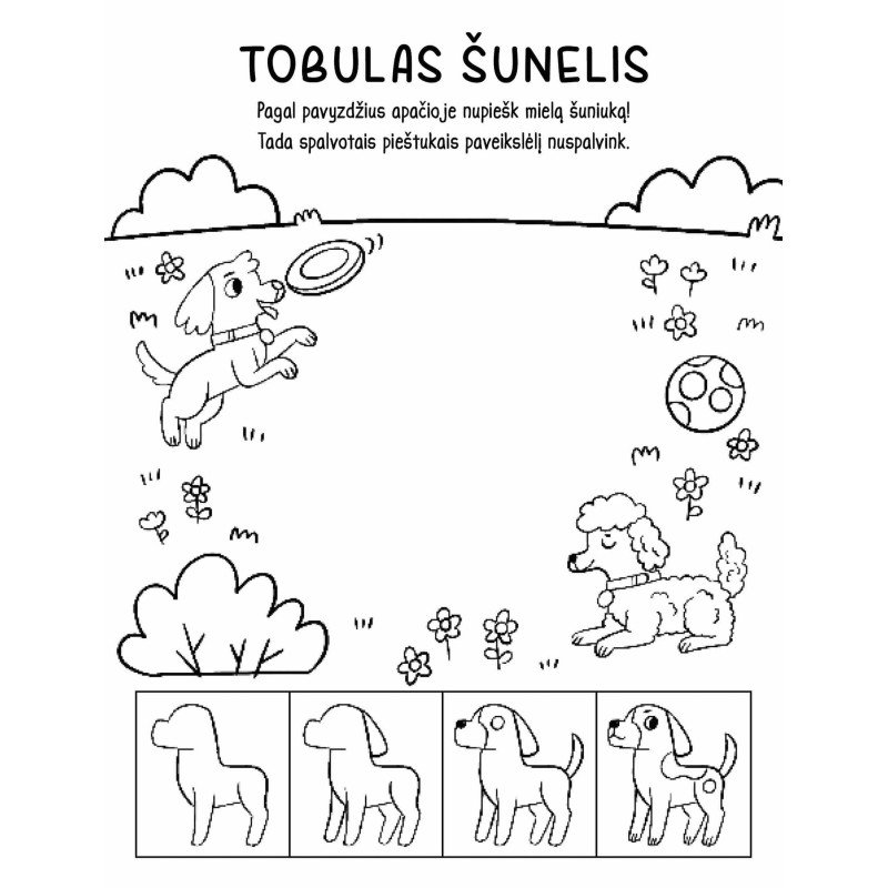 Nuostabūs gyvūnai. Atverk langelį