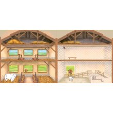 Nuostabūs gyvūnai. Atverk langelį