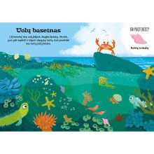 Vandenyne. Superlipdukai