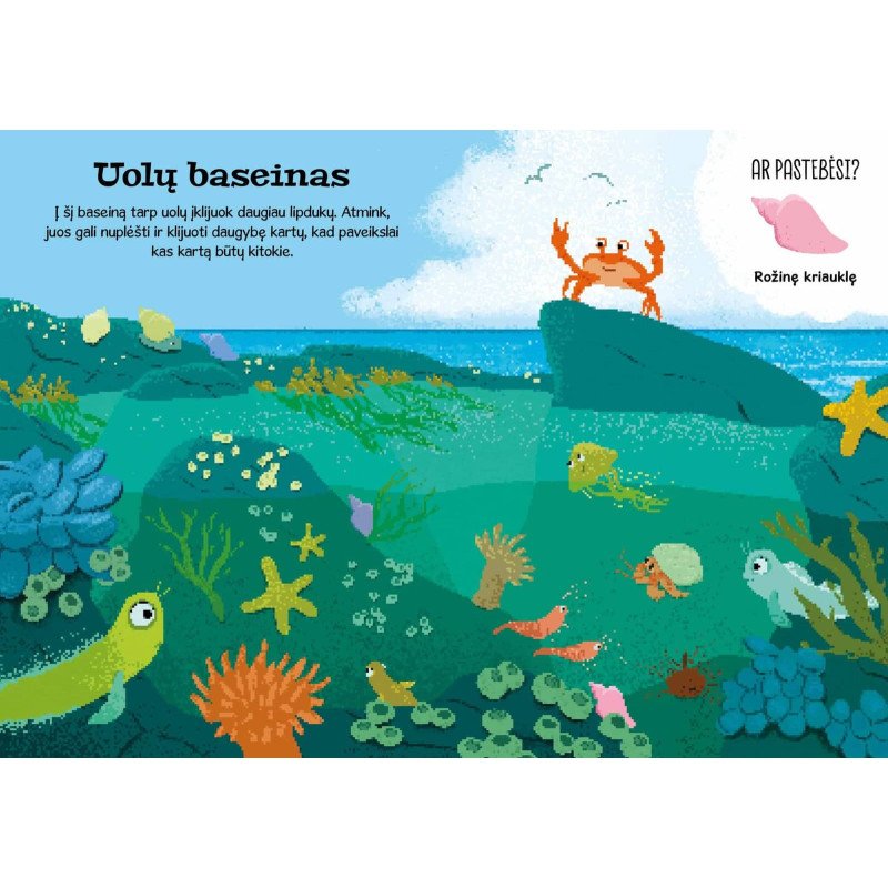 Vandenyne. Superlipdukai