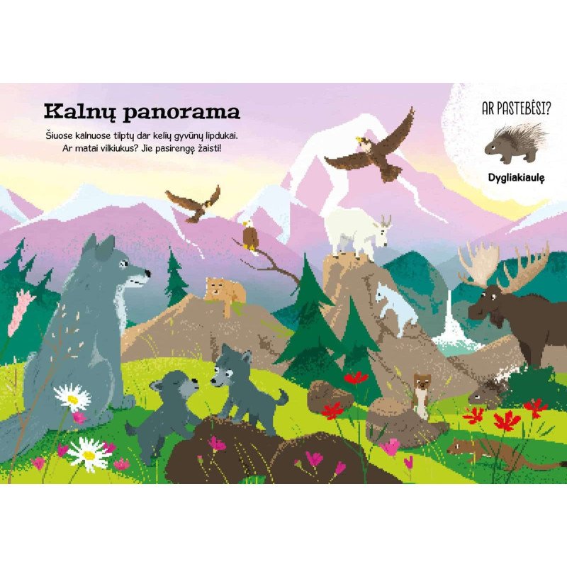 Vandenyne. Superlipdukai