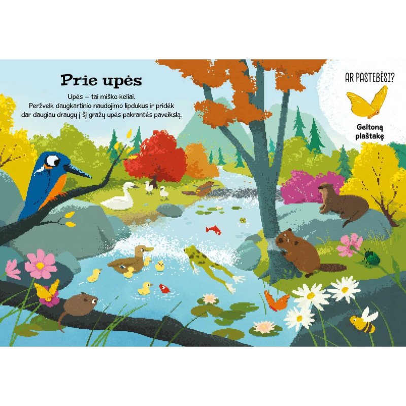 Vandenyne. Superlipdukai