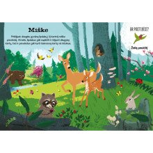 Žavioji gamta. Superlipdukai