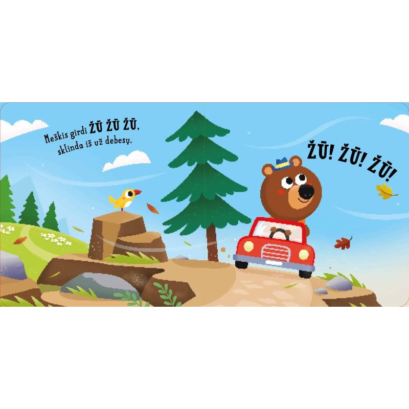 Transportas. Slėpynės (iššokantys langeliai)