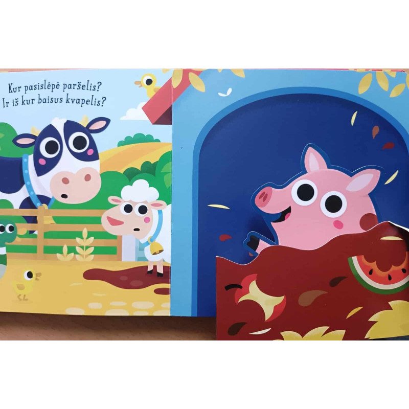 Ūkis. Slėpynės (iššokantys langeliai)